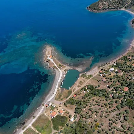 Ihouse * Paliouri